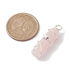 Natural Rose Quartz Double Terminal Pointed Pendants PALLOY-JF02673-03-3