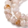 Natural Cherry Blossom Agate Beads Strands G-K380-A43-03-4
