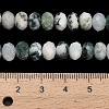Natural Tree Agate Beads Strands G-Z111-A46-6