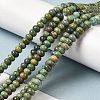 Natural Turquoise Beads Strands G-P506-03C-01-4