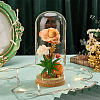 1Pc Glass Dome Cover AJEW-BC0009-61-4