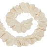 5M Cotton Embroidery Wrinkle Lace Trim OCOR-AR0002-06B-1