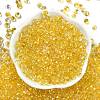 6/0 Spray Paint Fringe Glass Seed Beads SEED-H003-11A-3
