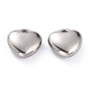 304 Stainless Steel Charms STAS-O143-10P-1