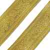 Vintage Jacquard Polyester Ribbon DIY-XCP0003-81-1