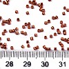 FGB 11/0 Grade A Glass Seed Beads SEED-S030-1210-4