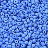 8/0 Glass Seed Beads X1-SEED-A010-3mm-43B-2