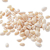Natural Cowrie Shell Beads BSHE-CJ0002-01-3