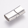 Tarnish Resistant 304 Stainless Steel Magnetic Clasps with Glue-in Ends LS-STAS-G136-05P-2