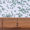 MIYUKI Delica Beads SEED-X0054-DB0415-4