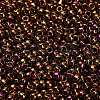 TOHO 8/0 Round Beads SEED-TR08-0514-2