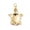 Rack Plating Brass Micro Pave Cubic Zirconia Pendants KK-C021-01G-04-2