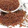 TOHO 8/0 Round Beads X-SEED-TR08-1825-1