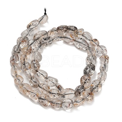 Natural Biotite Beads Strands GG-CBAC61B-B02-02-A-1