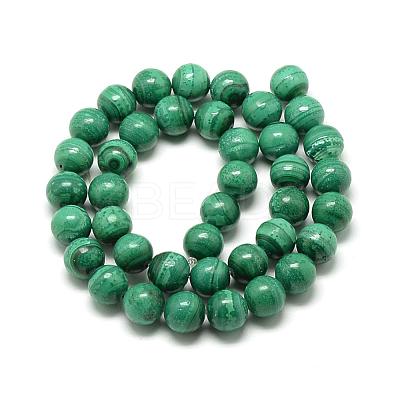 Natural Malachite Beads Strands G-R432-11-10mm-1