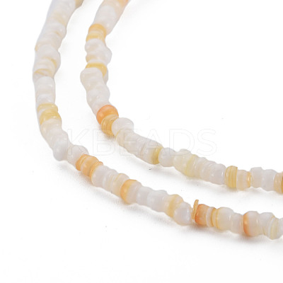 Natural Freshwater Shell Beads Strands SHEL-S278-066C-1