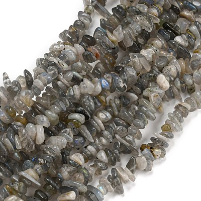 Natural Labradorite Beads Strands G-P332-23-1