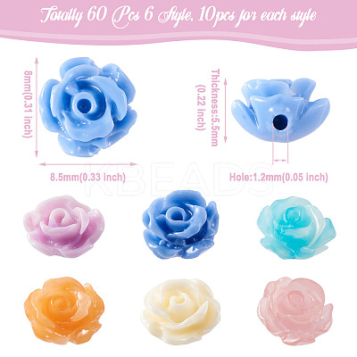 60Pcs 6 Colors Rose Shell Beads BSHE-CW0001-01-1
