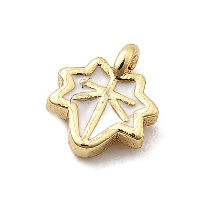 Brass Enamel Charms KK-P338-30G-03-1