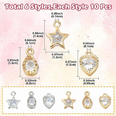 60Pcs 6 STYLES Alloy Charms ZIRC-YW0001-22-1