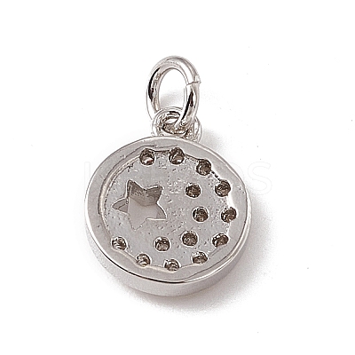 Brass Micro Pave Cubic Zirconia Charms ZIRC-F132-91P-1
