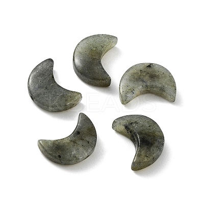 Natural Labradorite Beads X-G-NH0001-01D-1