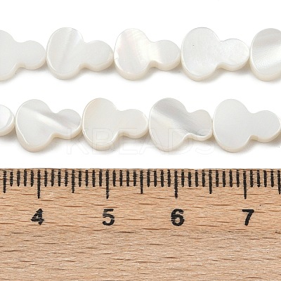 Natural Freshwater Shell Beads Strands SHEL-K010-02A-1