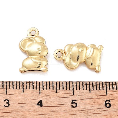 316 Surgical Stainless Steel Pendants STAS-B072-04G-02-1