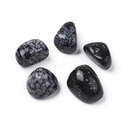 5Pcs Natural Snowflake Obsidian Beads G-FS0002-02-1