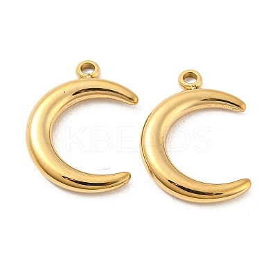 304 Stainless Steel Pendants STAS-L022-223G-1