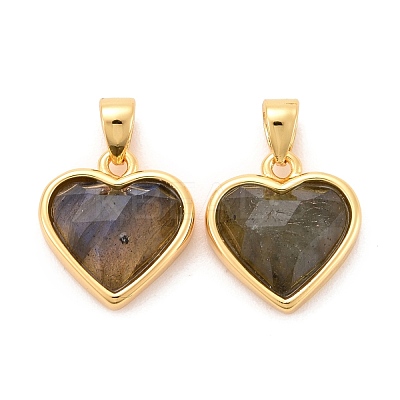 Natural Labradorite Charms G-E538-02G-02-1