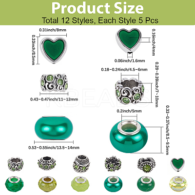 60Pcs 12 Styles Alloy Rhinestone/Enamel European Beads & Resin European Beads Kits DIY-PA0001-06B-1