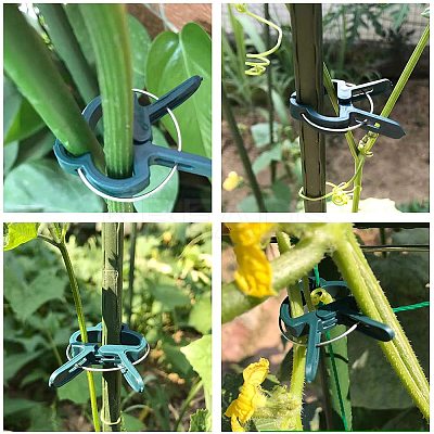 Plastic Gardening Plant & Flower Lever Loop Gripper Clips TOOL-GA0001-01-1