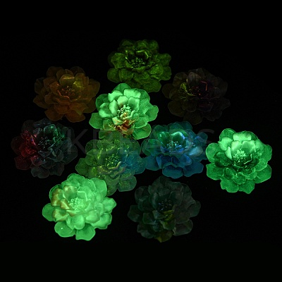 Luminous Transparent Epoxy Resin Decoden Cabochons CRES-M032-04B-1