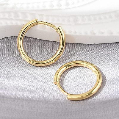 Brass Huggie Hoop Earrings LS-KK-D160-55G-1
