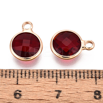 Golden Tone Brass Glass Charms X-GLAA-ZX008-24H-G-1