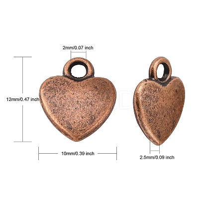 Tibetan Style Alloy Charms LS-RLF1170Y-1