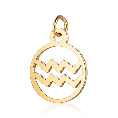 201 Stainless Steel Charms STAS-T036-T513-11-1