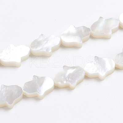 Natural White Shell Mother of Pearl Shell Beads SSHEL-L017-006-1
