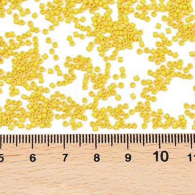 MIYUKI Delica Beads SEED-MY11-DB2284-1