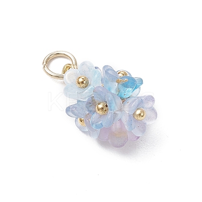 12Pcs Flower Transparent Acrylic Pendants PALLOY-JF03894-1
