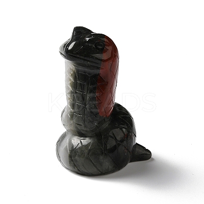 Natural Bloodstone Display Decoration G-C028-01B-1