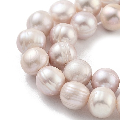 Natural Cultured Freshwater Pearl Beads Strands PEAR-C003-21E-1