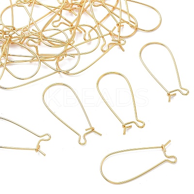SHEGRACE Brass Kidney Ear Wire XGR0004G-43G-1