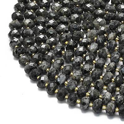 Natural Larvikite Beads Strands G-P573-A54-01-1