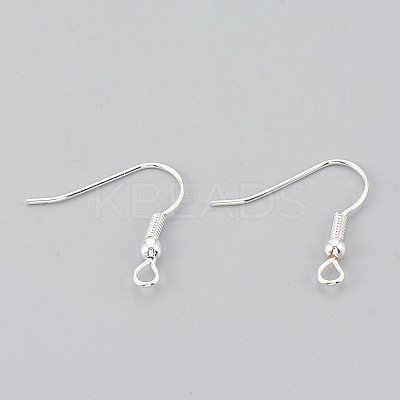 Iron Earring Hooks LS-X-E135-S-NF-1