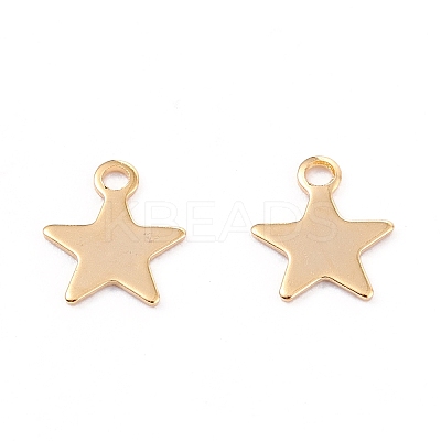 201 Stainless Steel Charms LS-X-STAS-B001-14A-G-1