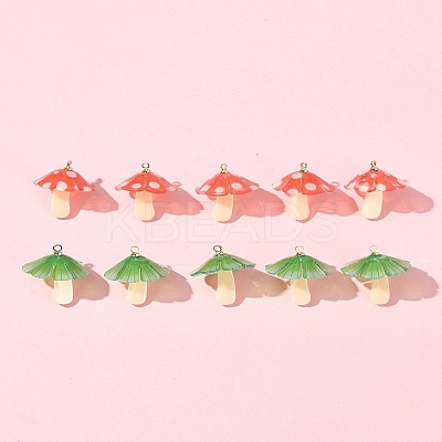 10Pcs 2 Colors Plastic Pendants KY-FS0001-34A-1