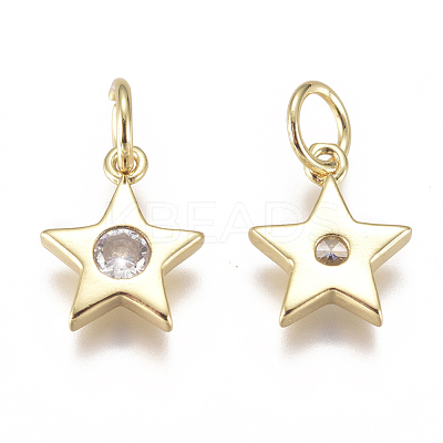 Brass Micro Pave Cubic Zirconia Charms ZIRC-F111-09G-08-1