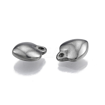 Non-Tarnish 304 Stainless Steel Charms LS-STAS-N099-26-1